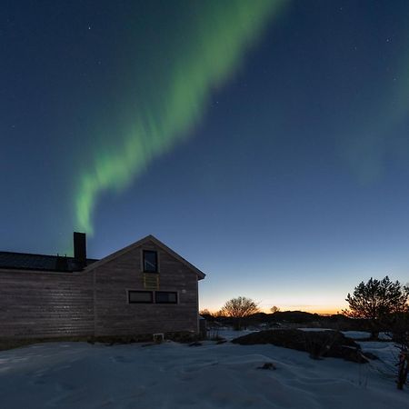 Koselig Bolig I Lofoten / Vesteralen Stronstad i Vesteralen Zewnętrze zdjęcie